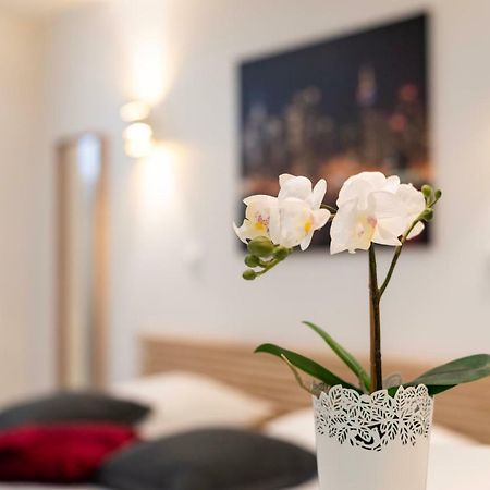 Citycosy Strasbourg - Studio Hirtz Orangerie Exteriér fotografie