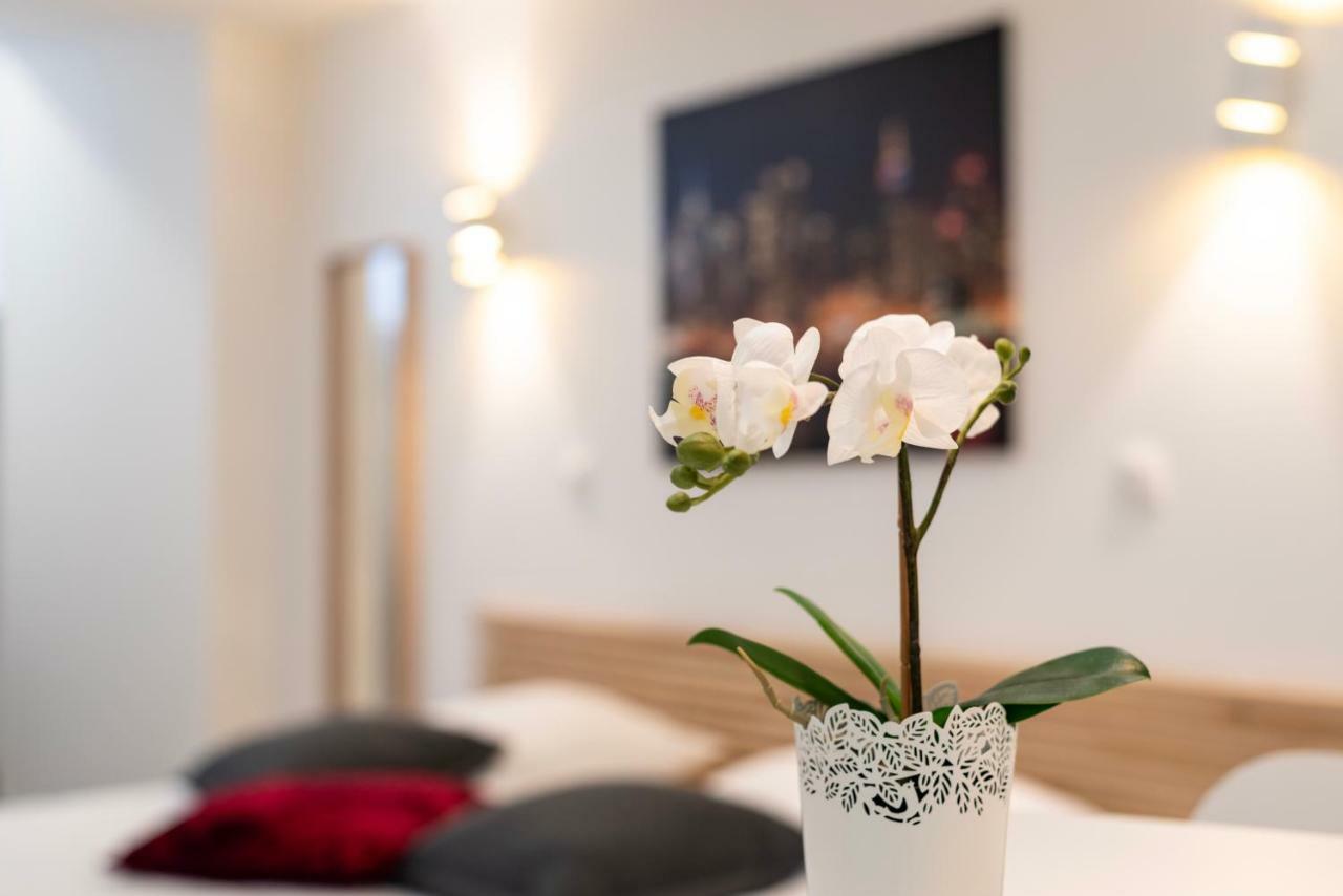 Citycosy Strasbourg - Studio Hirtz Orangerie Exteriér fotografie