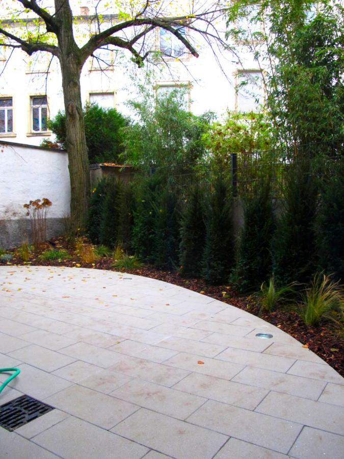 Citycosy Strasbourg - Studio Hirtz Orangerie Exteriér fotografie